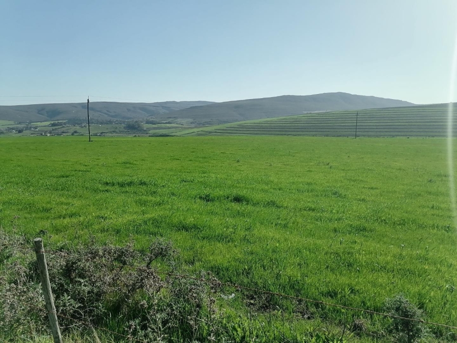 Commercial Property for Sale in Baardskeerdersbos Western Cape